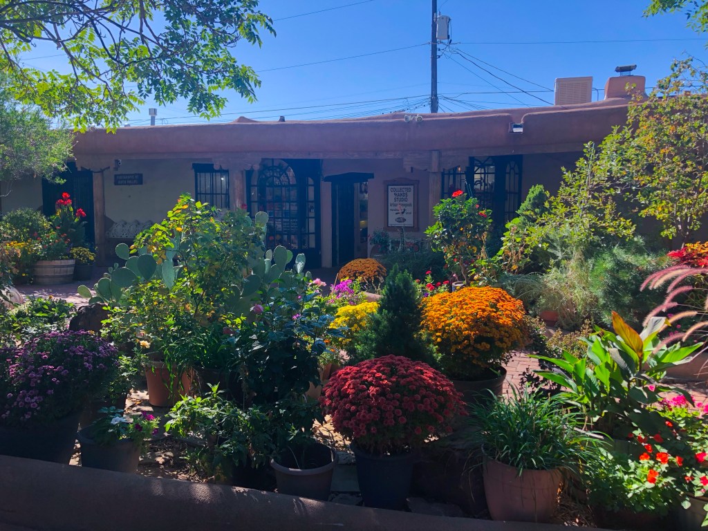 variety of plants and flowers outside in Old town Albuquerque