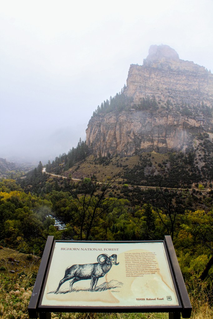 Bighorn National Forest 