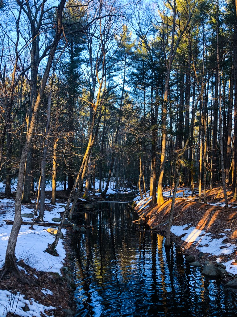 image of a creek flowing through the forest, with light snow covering on the bank under a blue sky 