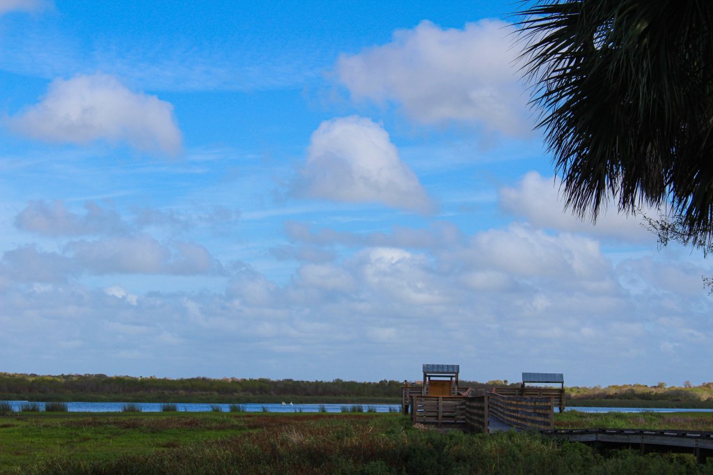 the birdwalk with the river in the background under a blue sky