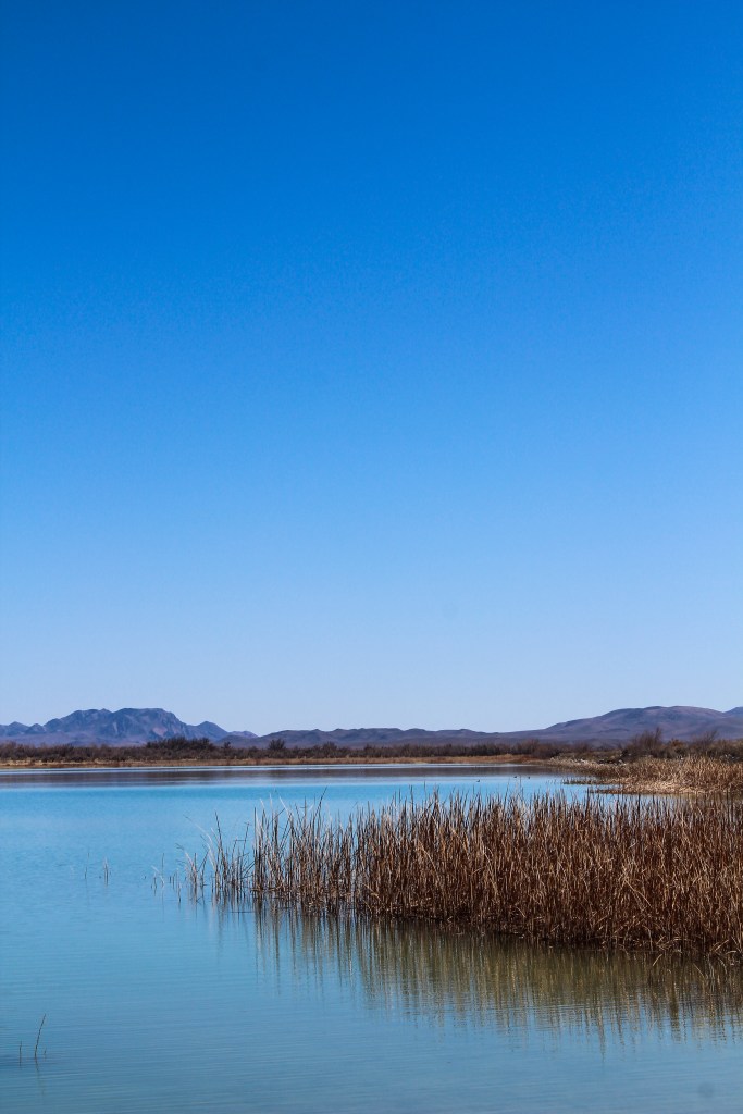 Crystal Reservoir at Ash Meadows National Wildlife Refuge 