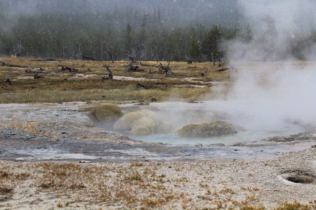 hot spring, location unknown inside Yellowstone