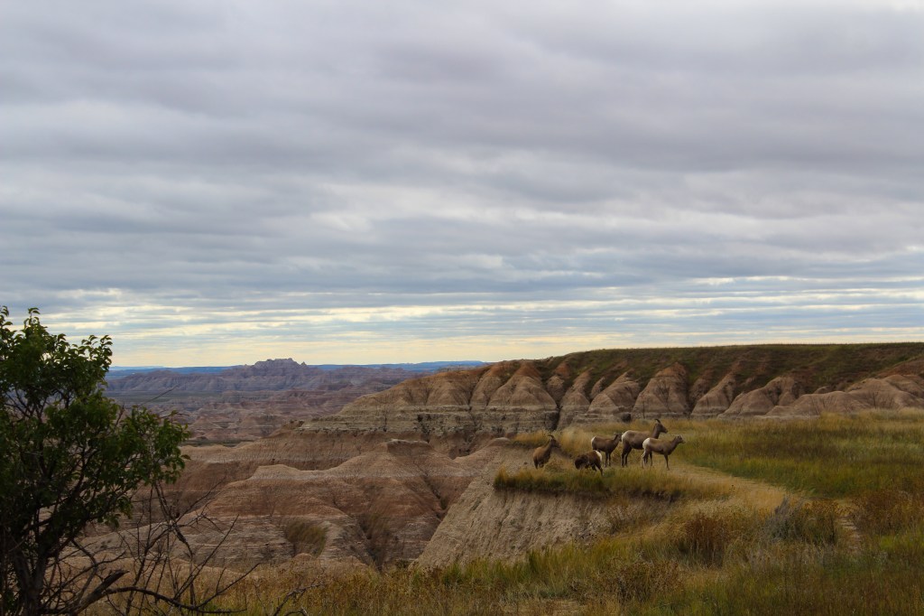 Badlands National Park