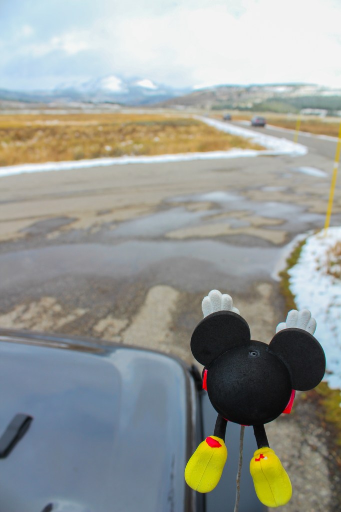 Mickey antenna topper looking out over the open road