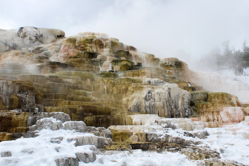 Terrace at Mammoth Hot Springs